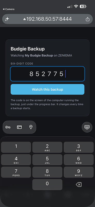 Access the Randomised URL and enter the pin