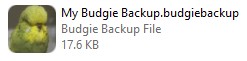 Open the Backup File