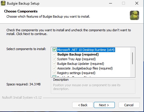 Runtimes Auto Installed 2